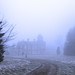 Misty Hall Photo 41