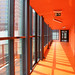 Donald Lichte Photo 17