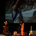 Todd Roper Photo 34