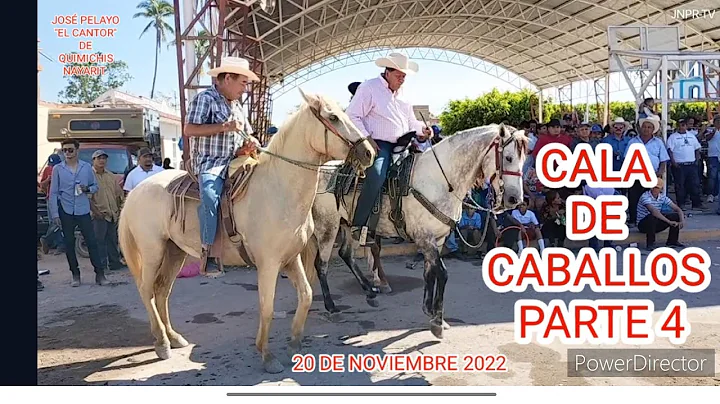 Jose Pelayo Photo 30