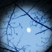 Becky Mclane Photo 1