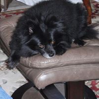 Kathy Smiley Photo 6