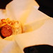 Jerry Cross Photo 39