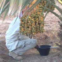 Abdullah Almubarak Photo 6