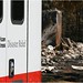 David Meltzer Photo 41