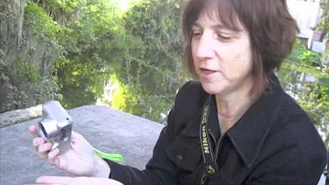 Suzette Cook Photo 28