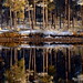 Ralph Spiegel Photo 18