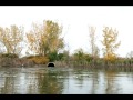 Edward Willson Photo 19