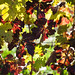 Teresa Groves Photo 36