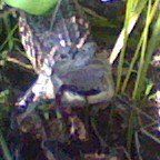 Ryan Ertel Photo 1