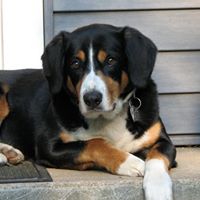 Maggie Murphy Photo 6