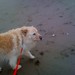 Audrey Beach Photo 26