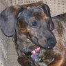 Crystal Blevins Photo 12