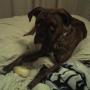 Bobbie Cartwright Photo 9