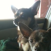 Brenda Naylor Photo 4