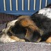 Wilma Ashley Photo 21