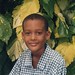 Lee Meiner Photo 11