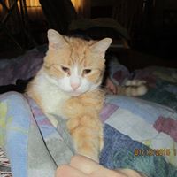 William Sunday Photo 7