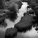 Ted Shearer Photo 17