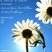 Sharon Rule Photo 19