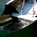 Dennis Conner Photo 44