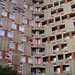 George Loveless Photo 34