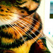 Richard Pretty Photo 18