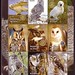 Chad Stamps Photo 19