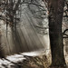 Ray Strom Photo 13