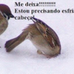 Rosemary Rocha Photo 15