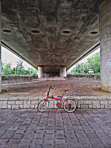 Raymond Tsang Photo 12