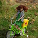 Lisa Chan Photo 42