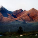 Dawn Cullins Photo 24