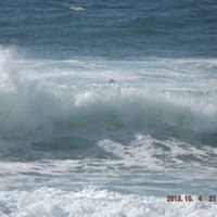 Tonya Neff Photo 3