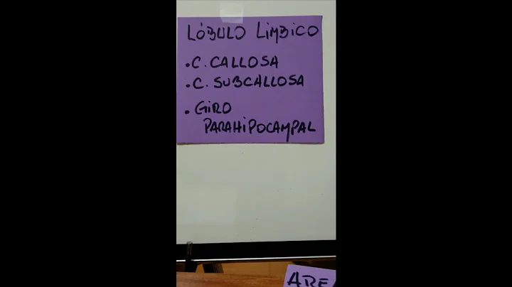Louis Casbarro Photo 3