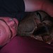 Kent Campbell Photo 43