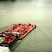 Tony Pappas Photo 33