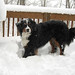 Sammy Tucker Photo 31