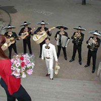Ramiro Cadena Photo 4