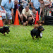 Jacob Wiener Photo 16