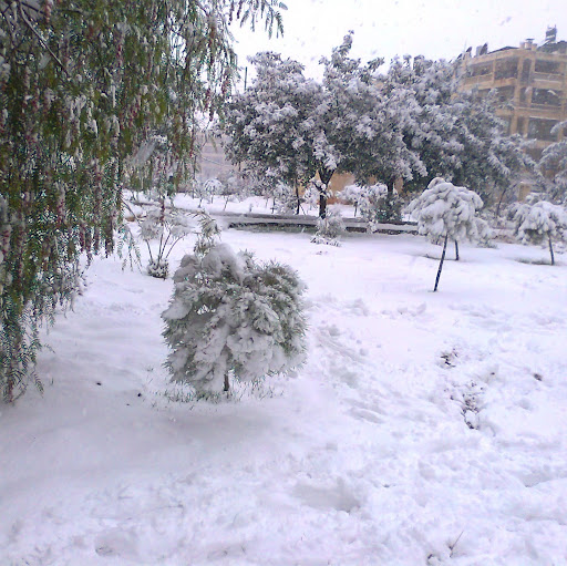 Mohammed Taleb Photo 10