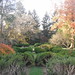 Diane Chestnut Photo 19