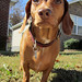 Robert Whitney Photo 48