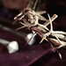 Catherine Thorn Photo 23