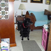 Nancy Huff Photo 5