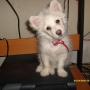 Debra Hetrick Photo 9
