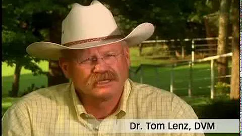 Thomas Lenz Photo 31