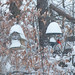 Kathy Blizzard Photo 35