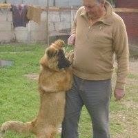 Luis Aros Photo 6