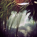 Diana Reed Photo 43